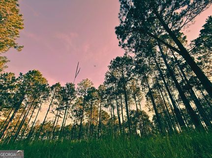 Farm and Ranch for sale in Candler County, Georgia