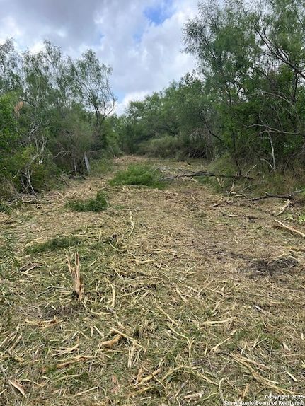 Farm and Ranch for sale in Medina County, Texas
