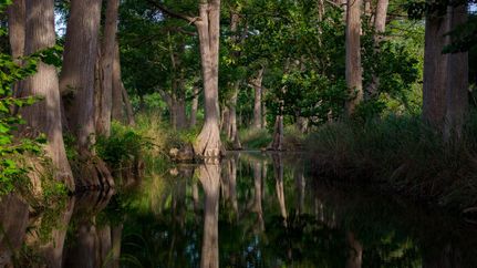 Timberland Property for sale in Kendall County, Texas