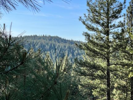 Undeveloped Land in Modoc County, California