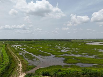 Farm and Ranch for sale in Jefferson Davis Parish, Louisiana