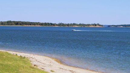 Undeveloped Land for sale in Grayson County, Texas