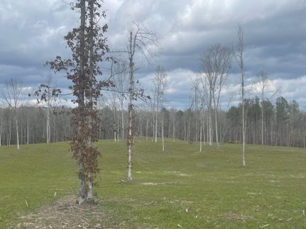 Land for sale in Bibb County, Alabama