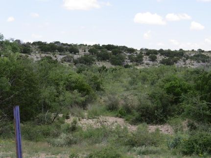 Timberland Property for sale in Terrell County, Texas