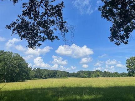 Recreational Property for sale in Jefferson County, Mississippi