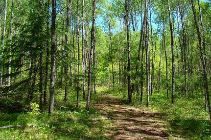 Farm and Ranch for sale in Oneida County, Wisconsin