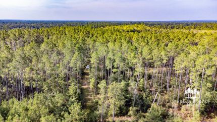 Land for sale in Jackson County, Florida