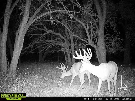 Land for sale in Neosho County, Kansas