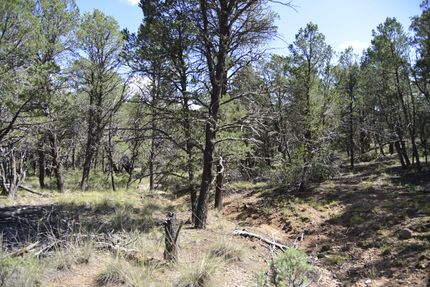 Farm and Ranch for sale in Otero County, New Mexico