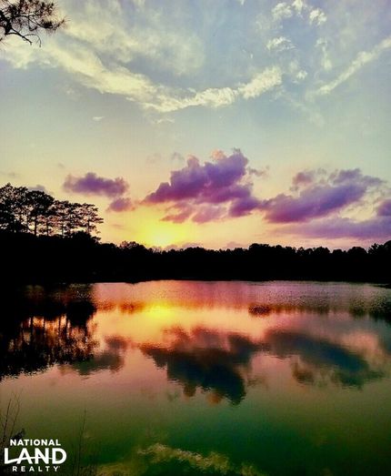 Timberland Property in Pearl River County, Mississippi