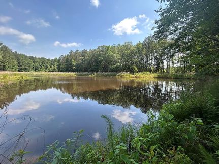 Undeveloped Land for sale in Leake County, Mississippi
