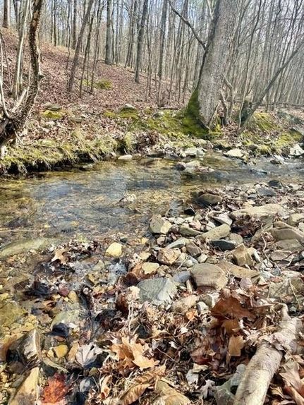 Recreational Property for sale in McCurtain County, Oklahoma