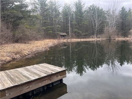 Undeveloped Land in Steuben County, New York