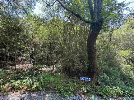 Homesite for sale in Marshall County, Alabama