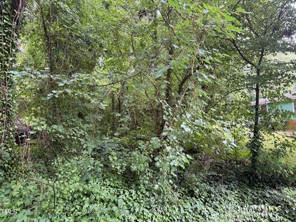 Undeveloped Land for sale in Vance County, North Carolina