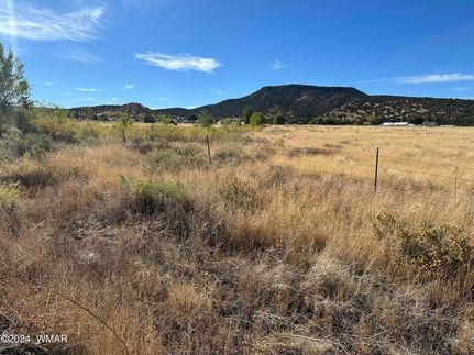 Farm and Ranch for sale in Apache County, Arizona