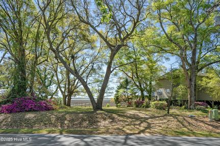 Timberland Property for sale in Brunswick County, North Carolina