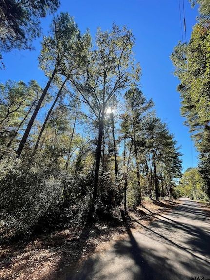 Timberland Property for sale in Wood County, Texas
