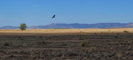 Farm and Ranch for sale in Valencia County, New Mexico