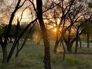 Undeveloped Land in Coryell County, Texas