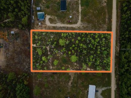 Land for sale in Levy County, Florida