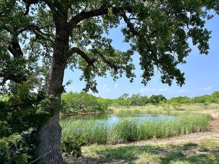 Farm and Ranch for sale in Callahan County, Texas