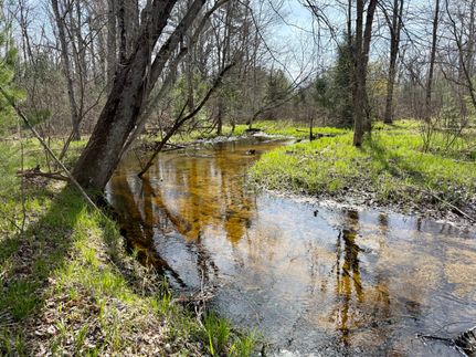 Farm and Ranch for sale in Mason County, Michigan