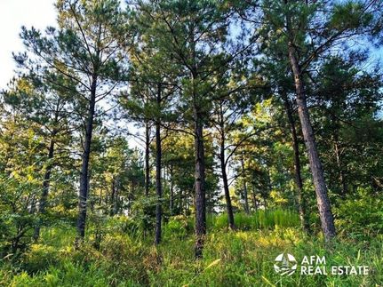 Timberland Property for sale in Pushmataha County, Oklahoma