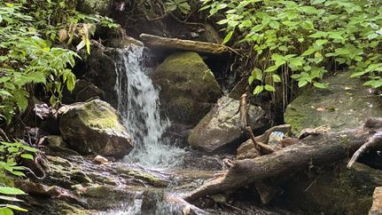 Farm and Ranch for sale in Ashe County, North Carolina