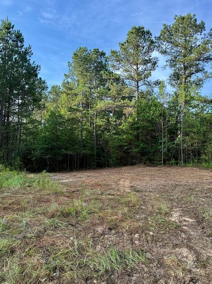 Farm and Ranch for sale in Winston County, Mississippi