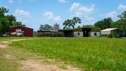 Land for sale in Brazoria County, Texas