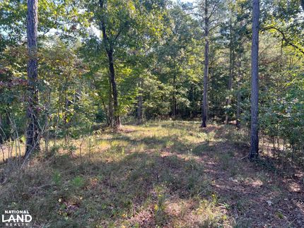 Timberland Property in Cherokee County, Alabama