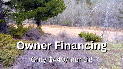 Undeveloped Land in Costilla County, Colorado