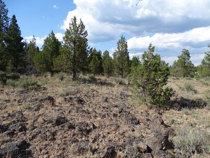 Land for sale in Klamath County, Oregon