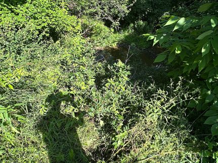 Undeveloped Land in Steuben County, New York