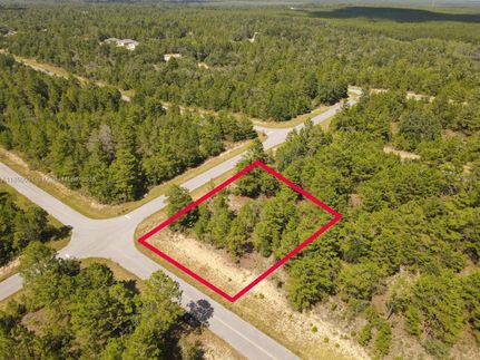 Undeveloped Land for sale in Washington County, Florida