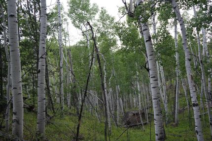 Land for sale in Teller County, Colorado