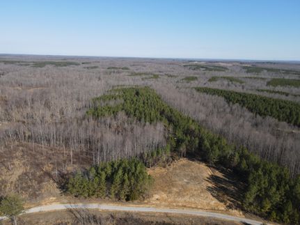 Timberland Property for sale in Stewart County, Tennessee