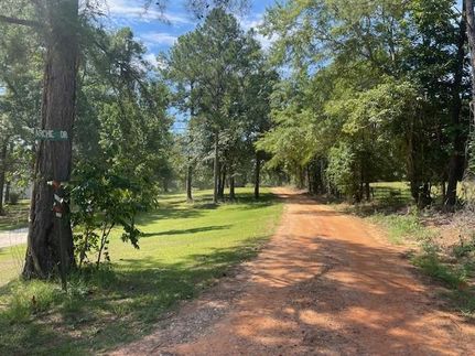 Land for sale in Barbour County, Alabama