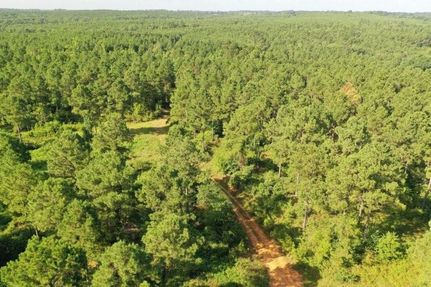 Land for sale in Cass County, Texas