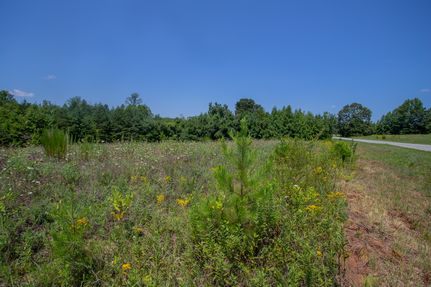 Recreational Property for sale in Pittsylvania County, Virginia