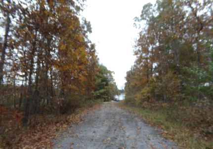 Land for sale in Cumberland County, Tennessee