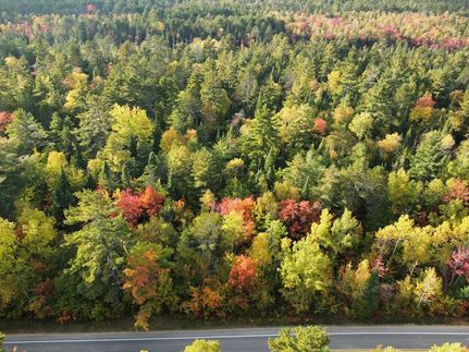 Undeveloped Land in Chippewa County, Michigan