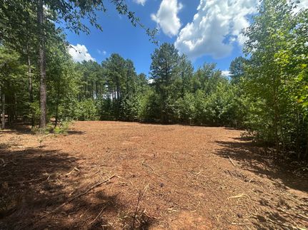 Undeveloped Land for sale in Elbert County, Georgia