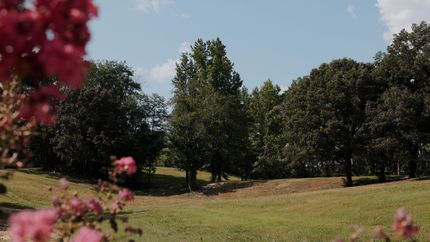 Land for sale in Hardeman County, Tennessee