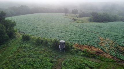 Farm and Ranch for sale in Decatur County, Iowa