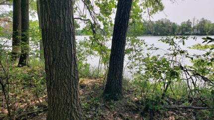 Land for sale in Monroe County, Wisconsin