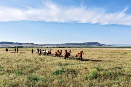 Undeveloped Land for sale in Elko County, Nevada