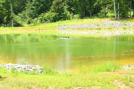 Hunting Property for sale in Metcalfe County, Kentucky