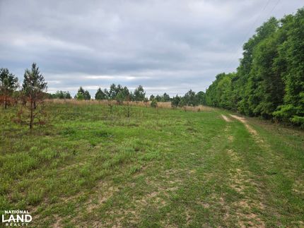 Recreational Property for sale in Henry County, Alabama